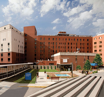 Hospital view 2