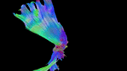 Brain fibers image