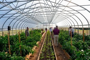 The interactive event included a tour of the UPMC Memorial Farm.