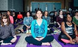 wellness integrated onc feature