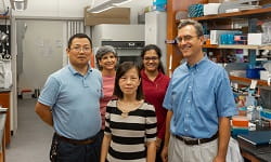 Beta Blockers Kuhn Research Team feature