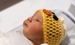 Magee Spring Babies 2 feature