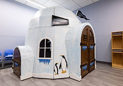 WBH SS Igloo release