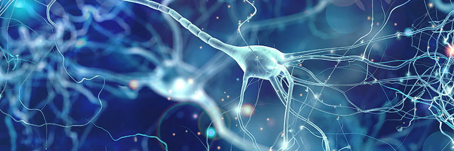 Neurological Institute Banner