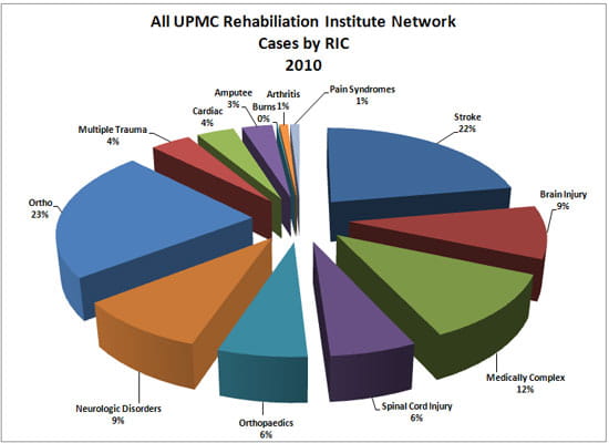 Upmc Chart