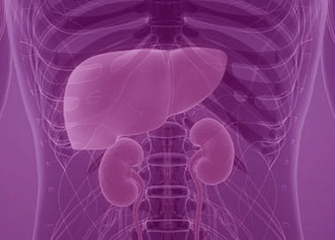 Living Donor Transplant